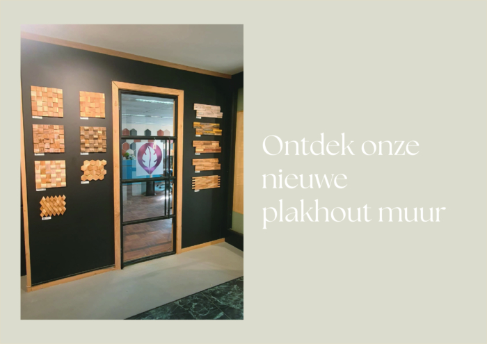 Ontdek onze nieuwe plakhout muur!