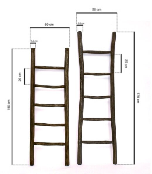 Teakhouten decoratie ladder | Rustiek Bruin | 50x5x150 - TK-DL-50x5x150-RUSTIEK-BRUIN