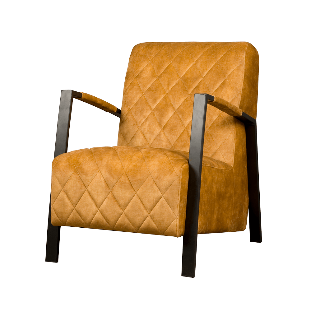 Villa Fauteuil Andora Geel 
