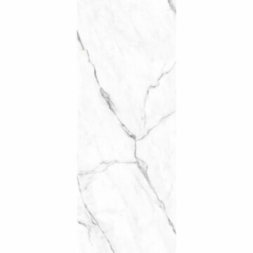 HSK RenoDeco Designpaneel 150x255 cm Natuursteen Marmer Carrara Wit Zijdeglans