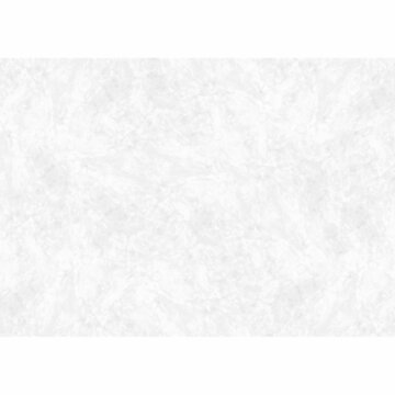 HSK RenoDeco Paneel Aluminium 100x210 cm Marmer Wit-Grijs Hoogglans