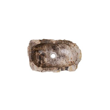 Fossil waskom 48x29x14 cm