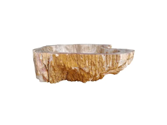 Fossiel Waskom - Versteend Hout  48x38x15