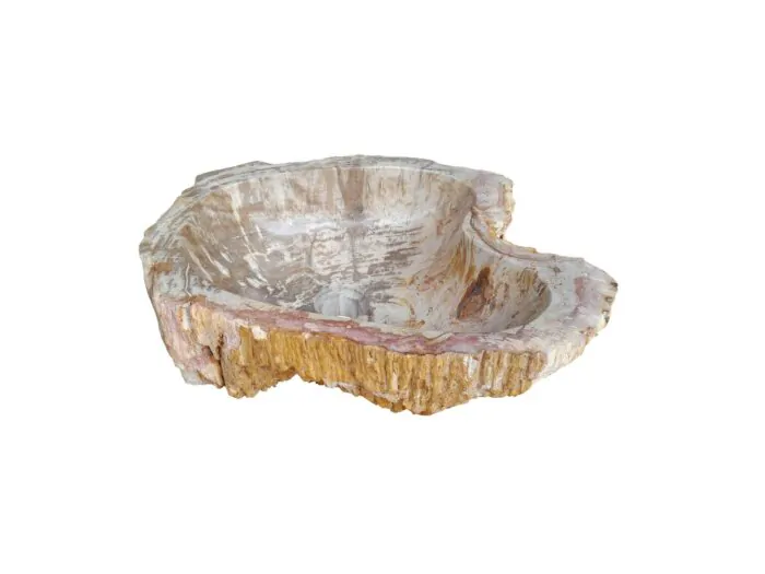 Fossiel Waskom - Versteend Hout  48x38x15