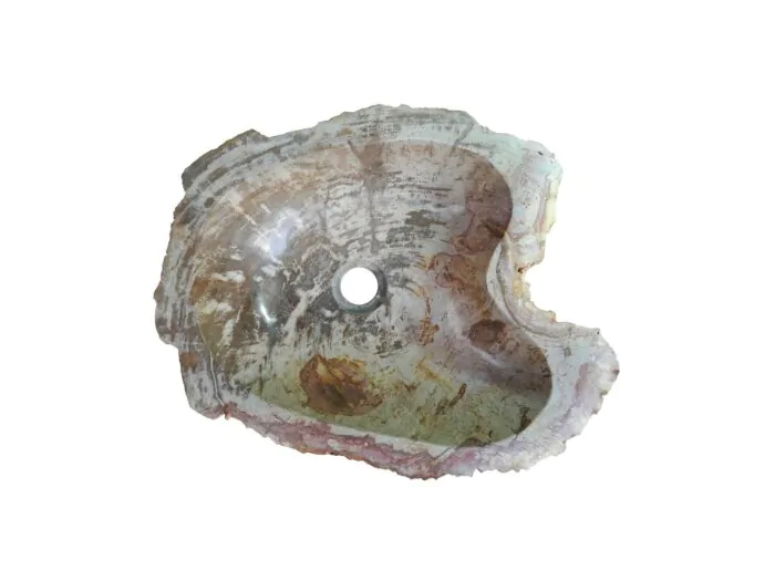 Fossiel Waskom - Versteend Hout  48x38x15