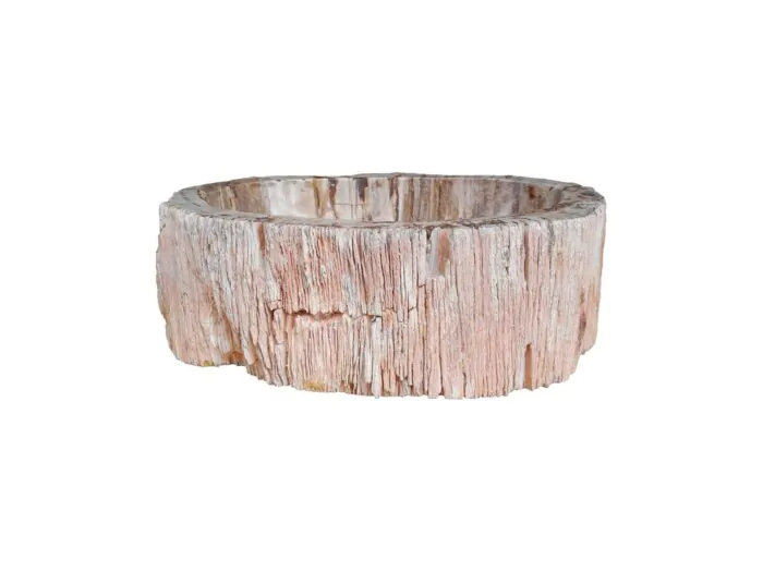 Fossiel Waskom - Versteend Hout  43x34x14