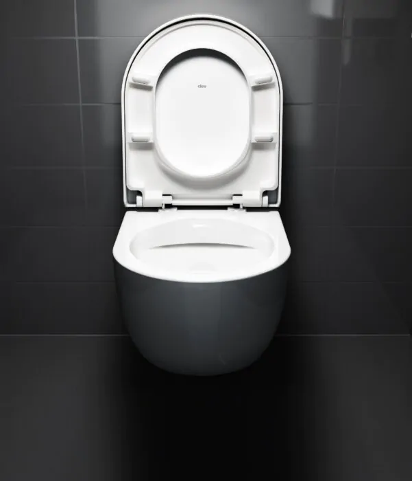 Clou - Hammock Toiletzitting Met Deksel, Soft Closing En Quick Release Systeem, Glanzend Wit