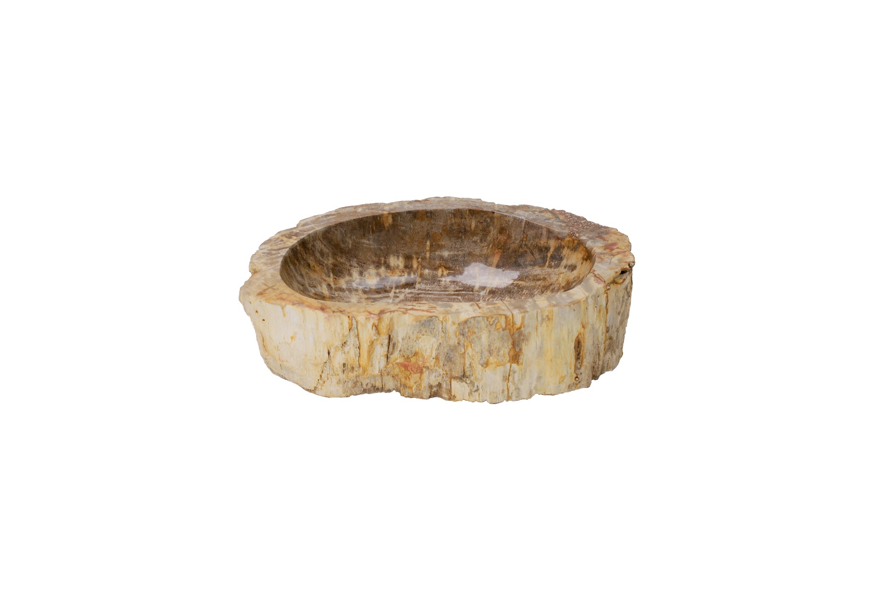 Versteende Houten Waskom – Uniek, Duurzaam en Natuurgetrouw (46x30x14 cm)
 - Hover